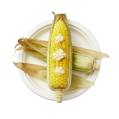 70aa2a4db7f990373ca9c376323e3dea__12_ removebg preview